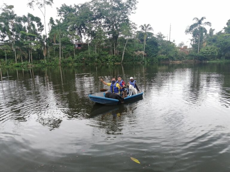 turismo pet friendly cannicross