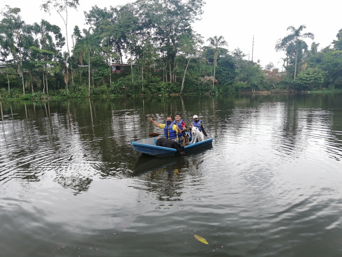 turismo pet friendly cannicross